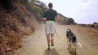 Dog Leash Extender w/ Short Lead