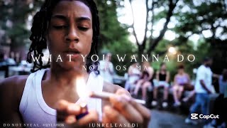 Notti Osama - What You Wanna Do (Offical music video) (Unreleased) ​@JJYEAHIDK