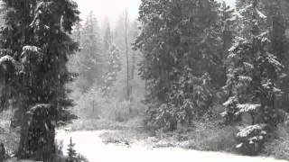 Steve Jansen (Gap Of Cloud / Playground Martyrs / A Way Of Disappearing)