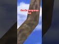 Wich One Are You Gorillatag Reccomended Vr Viral Jmancurly Elliotgtag