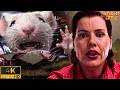 Stuart S Wild Washing Machine Ride Stuart Little