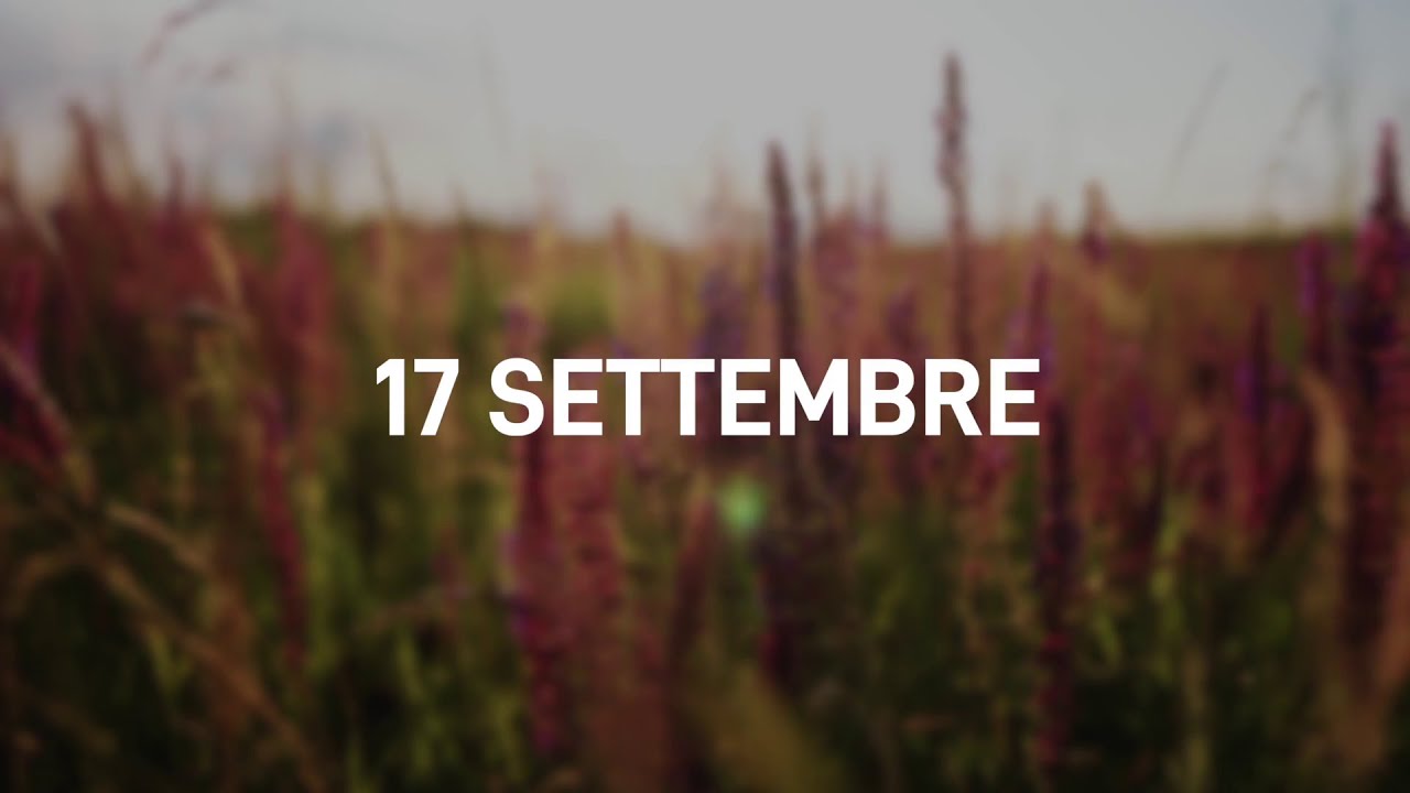 17 Settembre 2025 | Meditazione Parole di Vita
