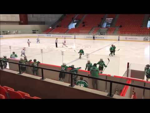 Malčki Frydek Mistek turnir 26.3.2017, koreografija pri golu