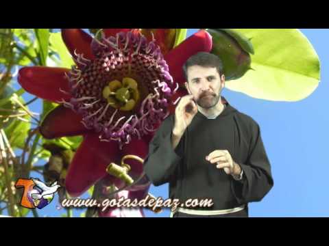 Jueves de la XIII Semana del Tiempo Ordinario. 30-06-2011.