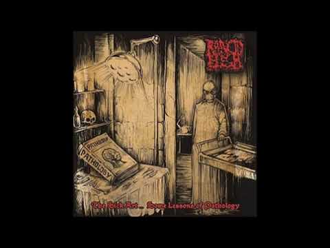 Rancid Flesh - The Sick Art ... Some Lessons of - (2014) - [Full Ep]