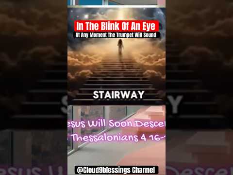 Witness21  2024 08 13