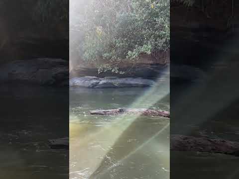 Rio das almas de Jaraguá Goiás