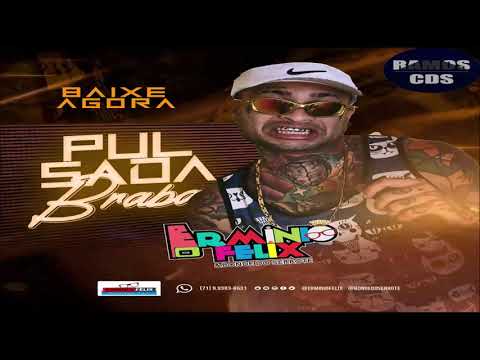 ERMINIO FÉLIX - PULSADA BRABA - 2019