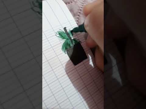 page de garde svt 🌿