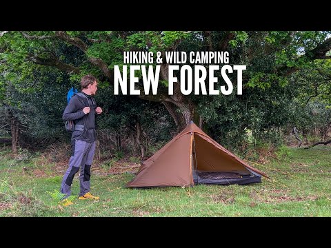 Hiking & wild camping in the New Forest
