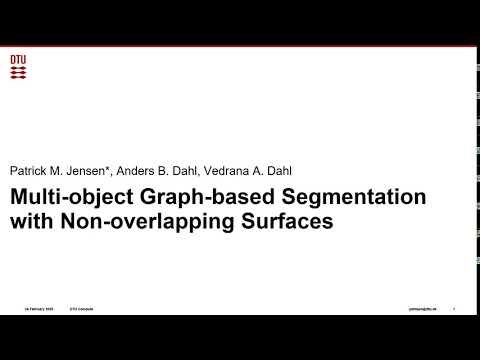 Multi-Object Graph-Based Segmentation With Non-Overlapping Surfaces