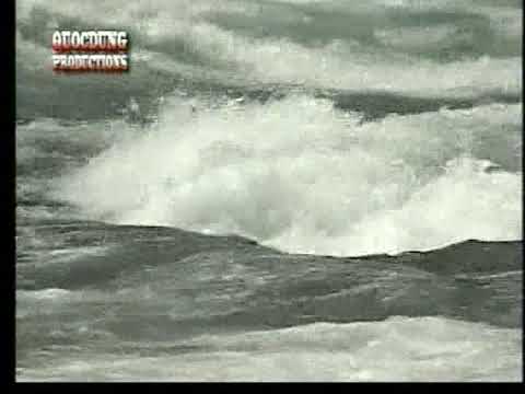 Tình yêu là thế đó - Bảo Yến