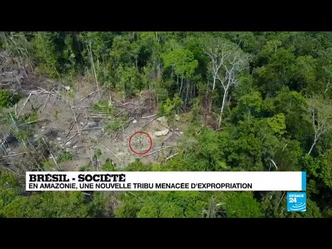 Brazil: Drone captures unprecedented footage of isolated people in the Amazon rainforest