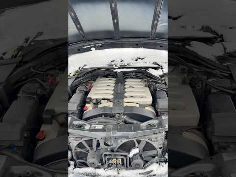 S600 V12 Cold Start -12*C #sclass #cold #v12 #pagani #automobile #fypシ #fyp #w140 #benz #mercedes