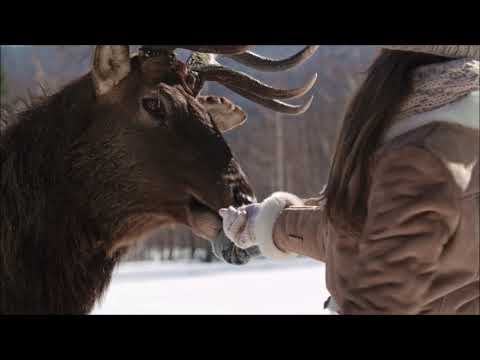 ❄The Florin Street Band ❄ Winter Wonder ❄