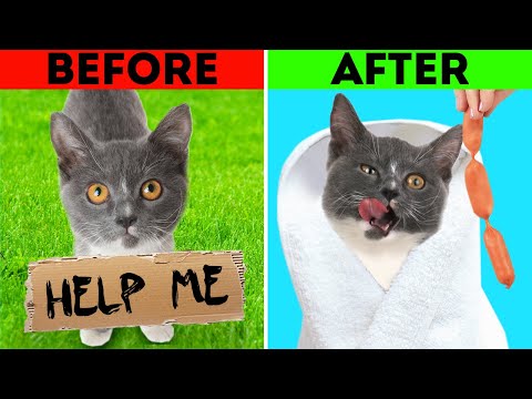 Share Your Love || 18 Heart-Warming Stories