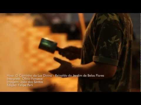 Olivio fonceca - O Caminho da Luz Divina
