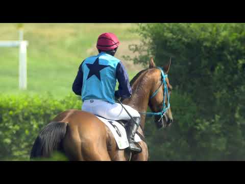 PE, 23. 6. 2019, 6. dostih - Cena za podpory SEED SERVICE