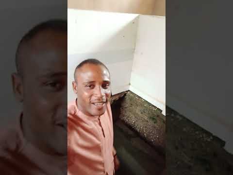 OMI KO SUN TI SAY A LOUDER AMEN AMEN AMEN 🔥🔥🔥