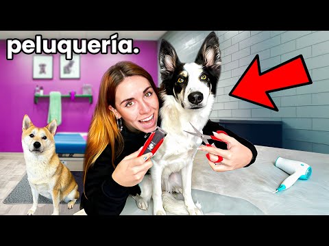 I CUT my shaggy PUPPY'S HAIR ✂️ (Natti's patience is legendary hahaha)