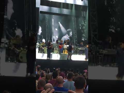 Fühlt sich wie fliegen an - Max Herre Kunstrasen Bonn