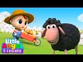 [ 15 MIN LOOP ] Baa Baa Black Sheep | Classic Nursery Rhyme | Little Angel And Friends Kid Songs