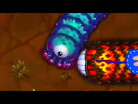 Biggest Snakes Battle vs Pro Angry Players - Little Big Snake (Slither.io like game)