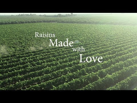 Raisins Made with Love