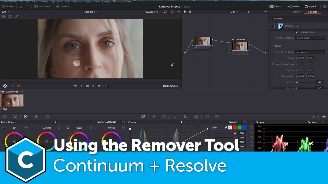 Banish Blemishes Fast: Continuum's Remover Tool inside Resolve