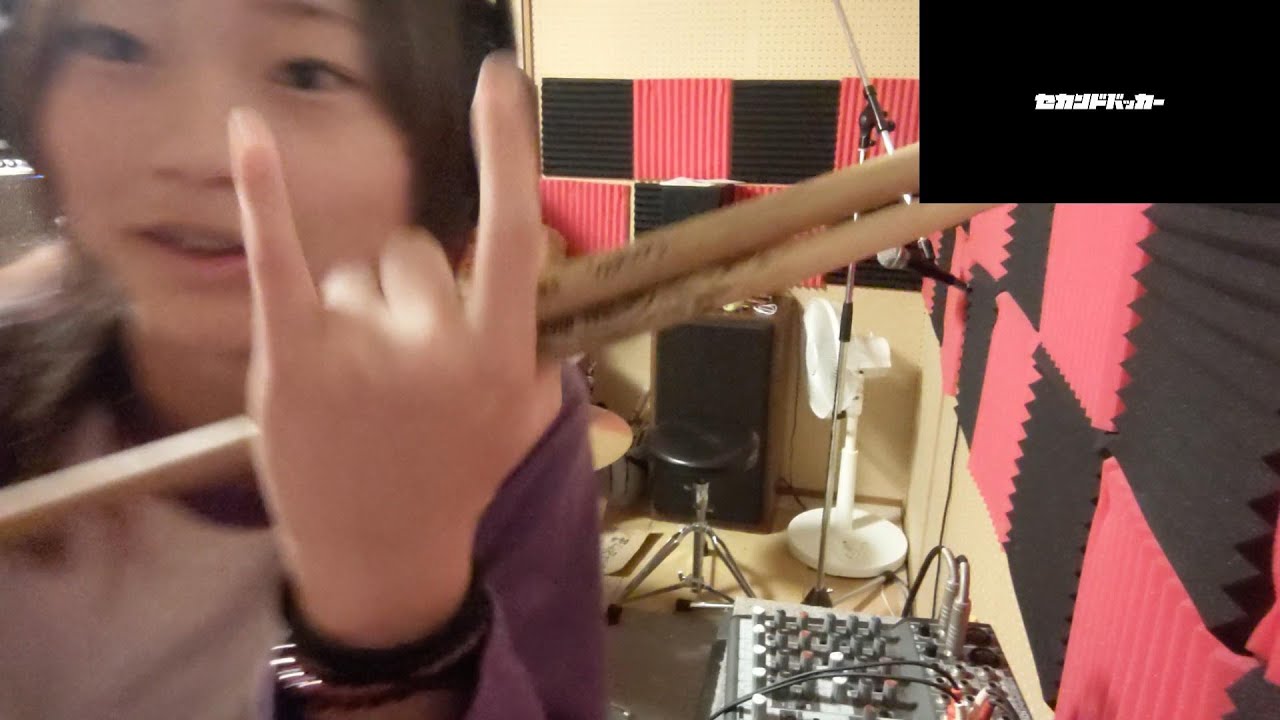 セカンドバッカ―【犬とバカ猫】ドラム