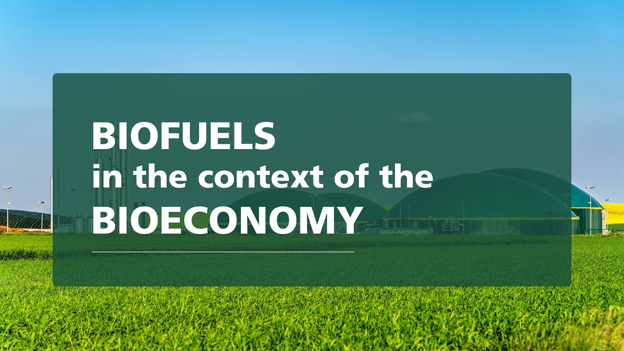Biofuels in the context of bioeconomy