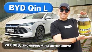 Видеообзор