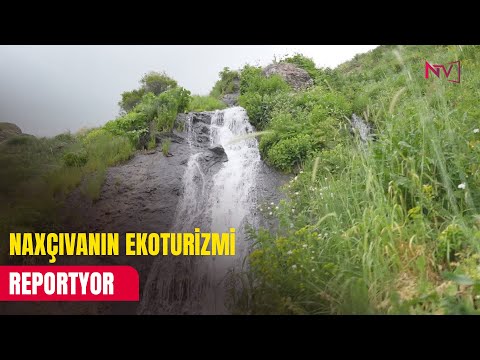 REPORTYOR 23.06.2025