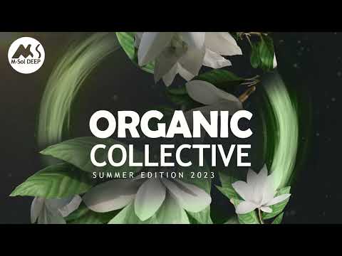 Deep Organic Chill Mix : Best of M-Sol DEEP