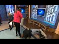 Lie Detector Test