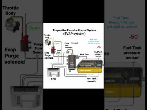 evap system explained
