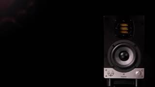 Video thumbnail for RAGTIME | EVE AUDIO SC204 by Ragtime
