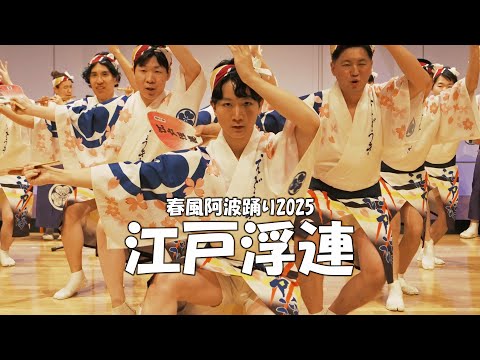 春風阿波踊り2025 江戸浮連