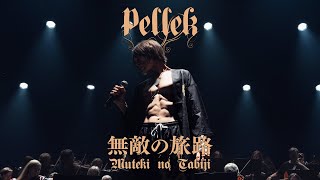 疑わないで欲しい真実