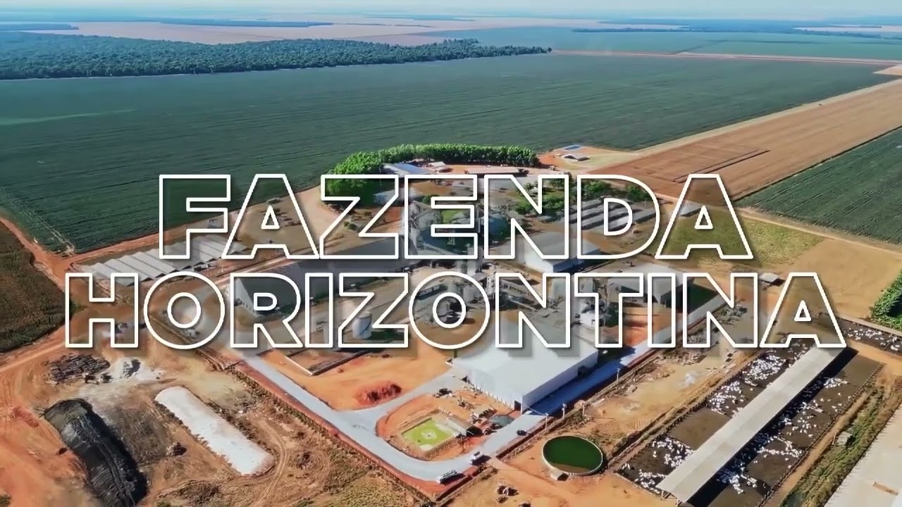 Projeto Soja Brasil completa 15 anos e abre nova temporada de produção