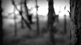 Brent Spar - From Sheep To O. (Official video)