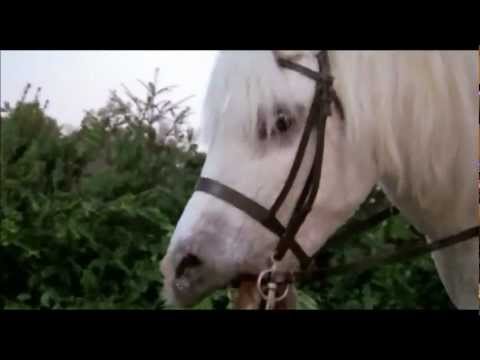 Singing horse from Top Secret