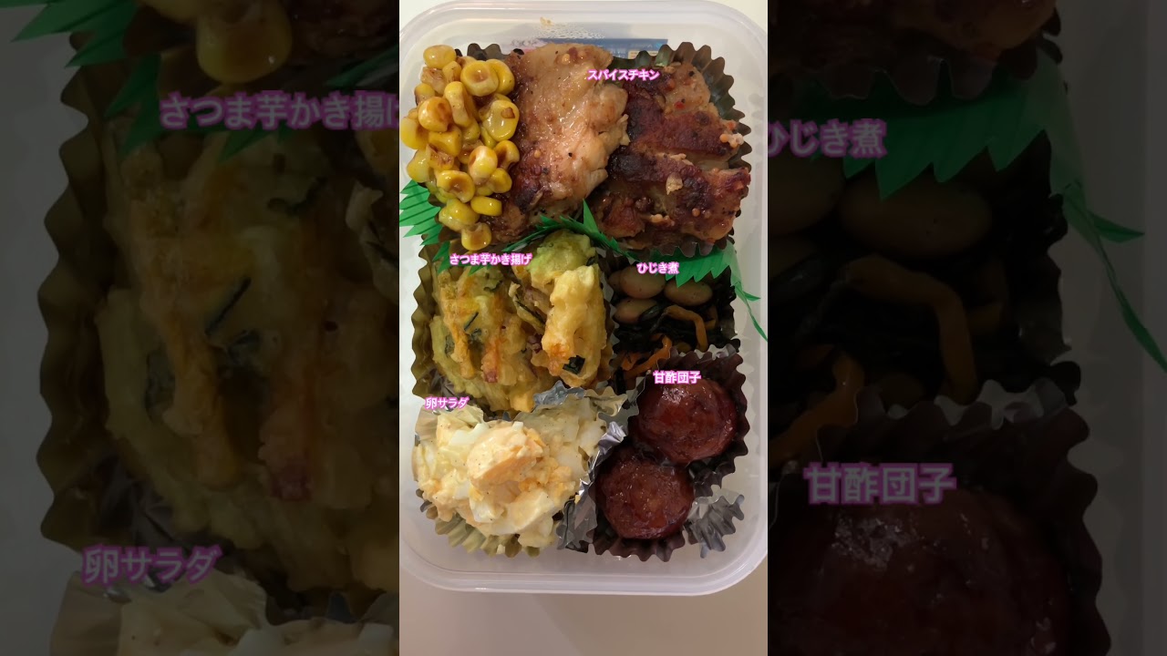 #34歳独身女子のお弁当  令和8年4月2日 9℃  悪夢みた一