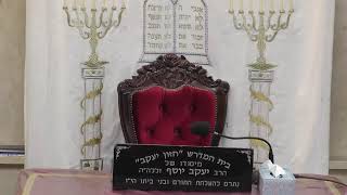 בית המדרש חזון יעקב • יום שני ט' שבט תשפ'ו (בית הכנסת מוסאיוף) - התמונה מוצגת ישירות מתוך אתר האינטרנט יוטיוב. זכויות היוצרים בתמונה שייכות ליוצרה. קישור קרדיט למקור התוכן נמצא בתוך דף הסרטון