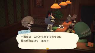 カフェでくつろぐジャックくん【あつ森】