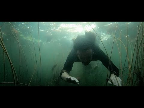 video frame placeholder