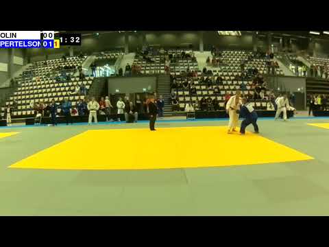 Finnish Judo Open 2018: M-73: OLIN - PERTELSON