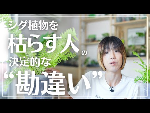 インテリアシダメンテナンス2023