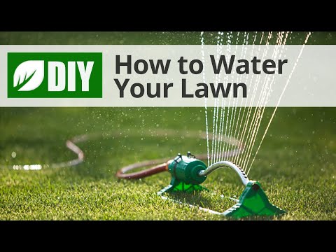  How to Water Your Lawn Lawn Watering Tips Video 