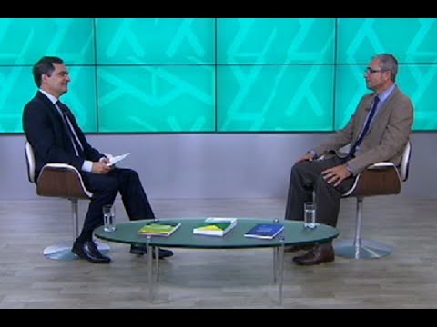 Maus-tratos, crueldade e abuso de animais: formas de combater e punir